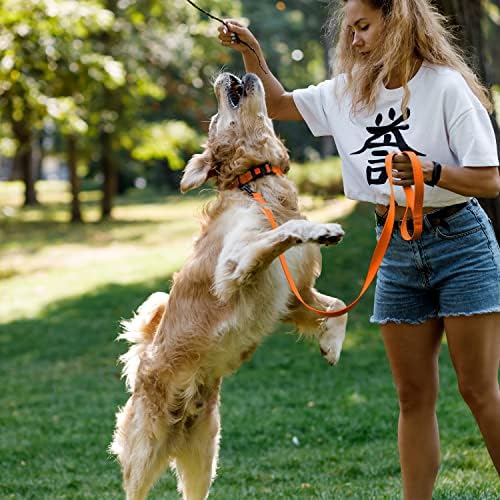 Reflective Dog Collar, Quick-Release Buckle (Orange, 14-18 Inch)