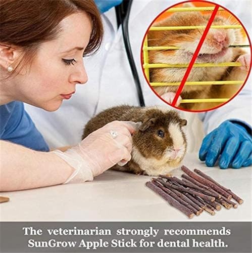 28 PCS Natural Chew Toys for Small Animals Teeth Grinding