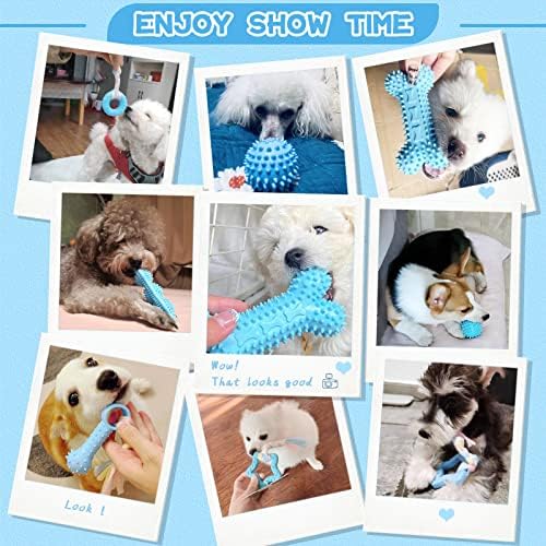Petcare 6 Pack Puppy Chew Toys - Blue, Soft Rubber Rope & Bone Ball Teething Toys for Small Dogs & Puppies, Including Yorkie