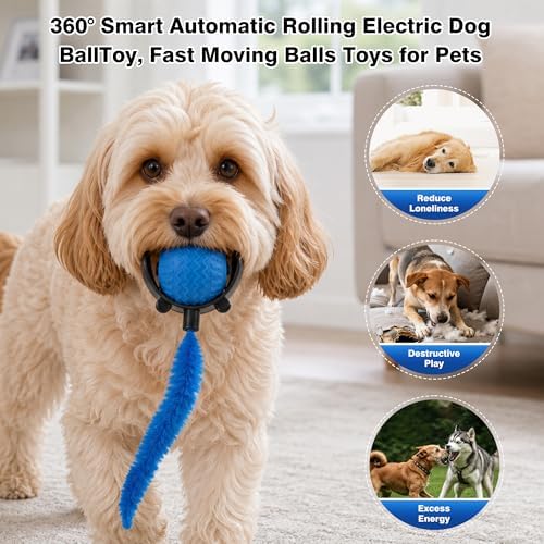 ZUAMEGUCat Toys for Indoor Cats - Interactive Rolling Ball