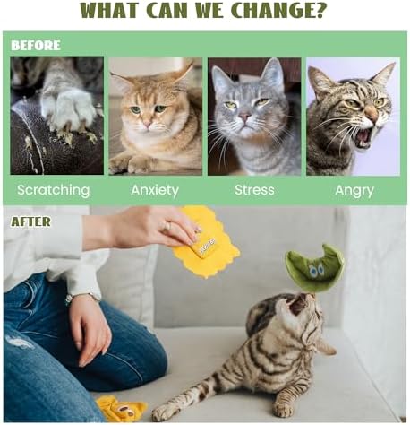 Pawsible 3 Pack Ravioli Catnip Toys for Indoor Cats, Interactive Cat Toys Filled with 100% Organic Catnip, Plush Chew Toys for Kittens, Teething Soft Catnip Toys for Cats