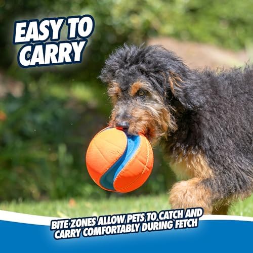 Chuckit! Kick Fetch Ball Dog Toy, Large, 8in, for Large Dogs, Floats