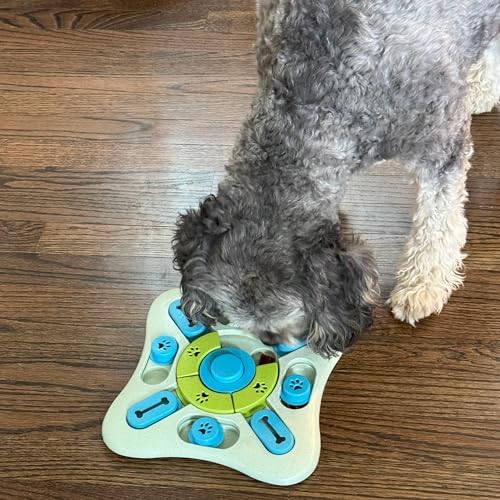 SPOT Seek A Treat Slide' N Turn Puzzle -Interactive Dog Puzzle Toy for Small, Medium & Large Smart Dogs and Cats, Squeaky, Enrichment and Mentally Stimulating Toy for Training and Boredom Buster