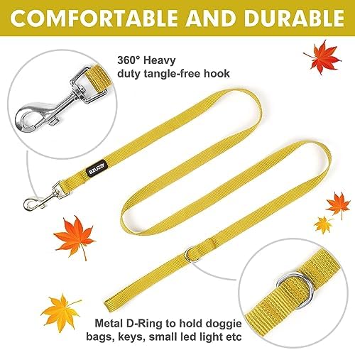 azuza Nylon Fall Dog Collar and Leash Set, Strong & Durable Basic Style Leash with Easy to Use Collar Hook, Available in Multiple Lengths for Puppy and Small Dogs, Ginger Yellow,XS