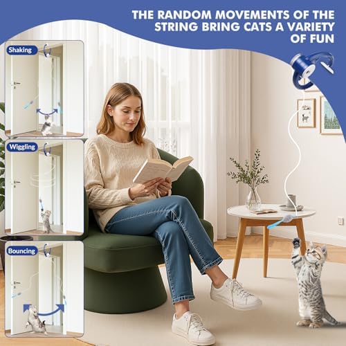Wortade Automatic Hanging Cat Toy, Electric cat Teaser, Dark Blue
