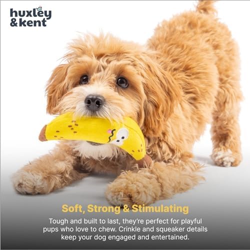 Huxley & Kent Power Plush Squeaky Dog Toy, Bruiser Banana, Small