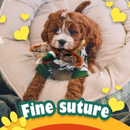 ALL FOR PAWS Squeaky Doy Toy, Pheasant Dog Toy for Small Medium Breed, Puppy Fetch Toy with Squeaker, Plush Chew Dog Toy, 9.8 x 9.8 x 2 inches, Classic-Pheasant S