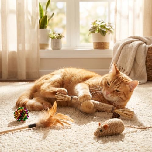 Shudyear 5 PCS Silvervine Sticks for Cats - Natural Cat Chew Toys for Teeth Cleaning, Kitten Teething & Aggressive Chewers