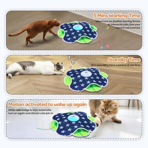 Oxawo Interactive Cat Toys for Indoor Cats Kittens Mat Toy