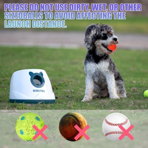 Automatic Dog Ball Launche with 9 Balls (2 inches)