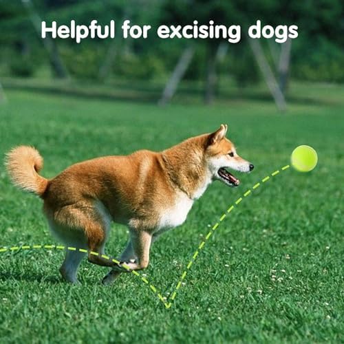 MEKAPLE 6 Pack Mini Tennis Balls for Pet Playing Fecth, 2 inch Dogs Training Tennis Balls for Small Size Dogs, Interactive Dog Playing Balls Fits 2 inch Automatic Dog Ball Launcher