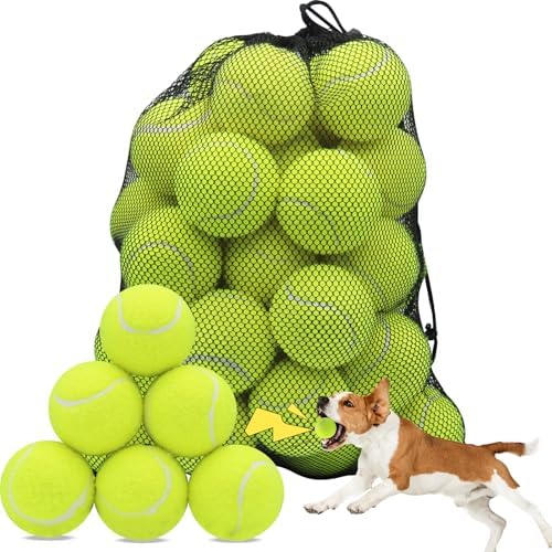 Swingers Squeaky Tennis Balls for Dog, 2.5 Inch Training Tennis Balls