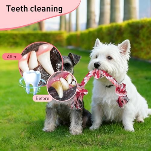 SZEE Dog Rope Toy 2-Pack, Rope Toys for Dogs, Suitable for Small Breeds