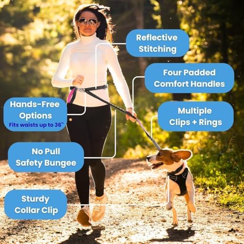 Dog Poop Bag Holder with Dispenser & Storage Pouch - Includes Adjustable Reflective Dog Leash (6FT Bungee, Padded Handles) - Durable Leash for Walking, Training & Travel (Aqua)