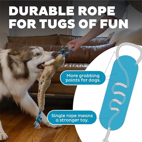 Outward Hound by Charming Pet Ropiez Rope Interactive Dog Tug Toy for Tugging Squeaky Fun, Sloth, Brown