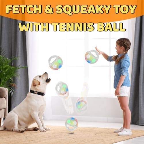 Tough Durable Ball Toy for Medium Large Dog