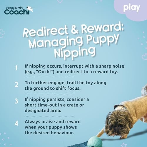 Coachi Puppy & Mini Tuggi Ball - Dog Toy for Tug of War & Play