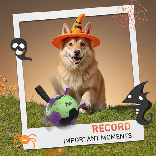 QDAN Halloween Dog Toys, Dog Soccer Balls with Straps, Outdoor Dog Toys