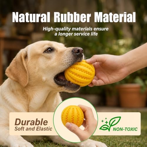 GASHIK Dog Treat Ball for Dogs, Rubber Dental Chew Toy for Dogs