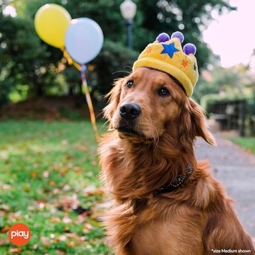 P.L.A.Y. Cute Plush Dog Toys - Birthday Party Celebration Themed Durable Squeaker Chew Toy, Great for Puppies & Small, Medium, Large Dogs - Machine Washable, Recycled Materials (Canine Crown, Medium)