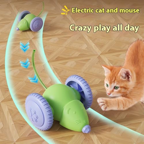 Interactive Cat Toys for Indoor Cats,Automatic Moving Kitten Toys,Cat Balls