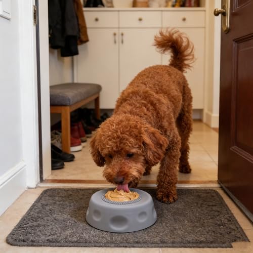 Dog Lick Bowl with Ball,Lick Ball Bowl for Dogs,Dog Licking Bowl with Rolling Ball,Slow Feeder Ball Bowl to Slow Pet Eating,Rolling Ball Dog Bowl Give Pet More Time to Enjoy Eating. (Gray)