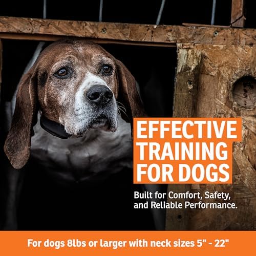 SportDOG NoBark Premium Bark Collar | Silent Partner Bark-Only Detection, Static, 3 Training Modes, Rechargeable, Waterproof, Lightweight, Dogs 8 lb+, 5-22 in