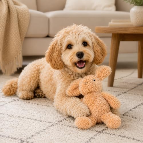 SPOT Cuddle Bunnies Dog Toy - Soft, Plush Fabric Dog Toy with Squeaker, Perfect for Cuddling, Great for Dogs and Puppies of All Ages, Medium to Large Breeds - 13" Rabbit, Assorted Colors