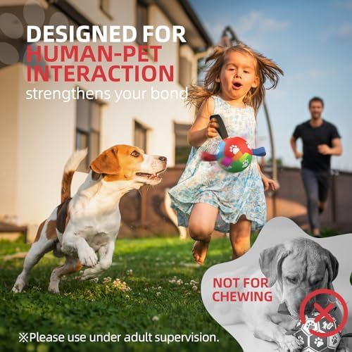 QDAN Dog Toys for Small Dogs, Dog Soccer Ball with Straps, 5 Inch Puppy Toy