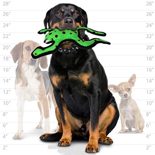 TUFFY® 2 Pack Phrog Squid Ultra Durable Plush Dog Toys
