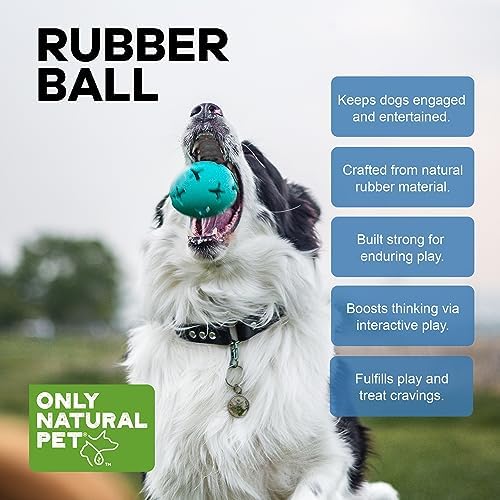 Only Natural Pet Rubber Boredom Buster Treat Stuffer Dog Toys - Interactive Stuffable Feeder Dispenser Fillable Durable Play Puppy Medium Large XS Chew Pup Hide Holder Easy Refill -RubberBall/Teal