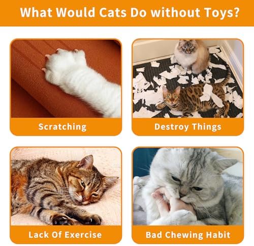 Halloween Cat Catnip Toys for Indoor Cats with Crinkle 8 Pack