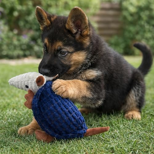 Hollypet Armadillo Squeaky Puppy Dog Toys for Small Medium Dogs, 8"