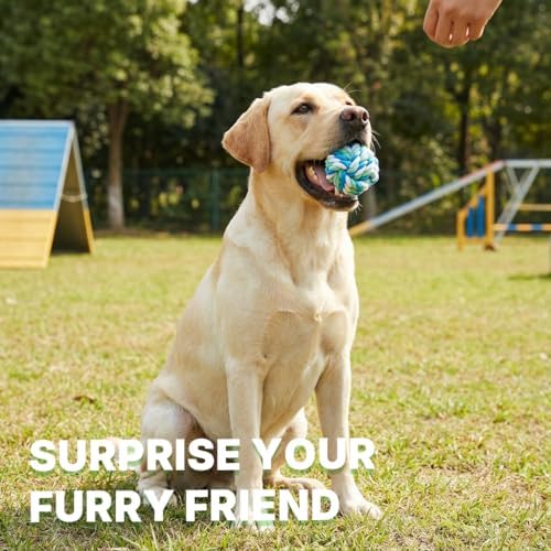 Dog Ball, Braided Dog Rope Ball, Dog Toys for Aggressive Chewers, 2 Packs