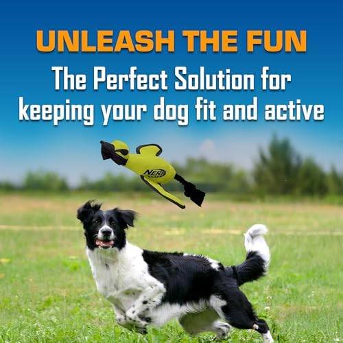 Nerf Dog Trackshot Launching Duck Dog Toy, 16.5 Dog Fetch Toy for Medium and Large Breeds, Green