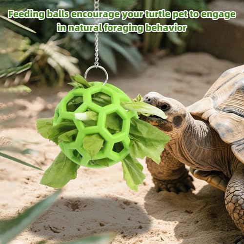 Turtle Foraging Feeder Ball with Hanging Chain – Turtles Feeding Toy, Interactive Reptile Toy for Aquatic Turtles and Tortoises, Fruit & Vegetable Holder for Box Turtle Habitat Accessories