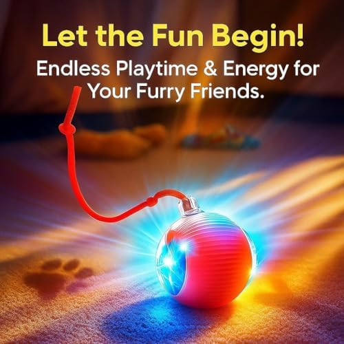 2026 New 2Pack Cat Ball Kitten Toys for Indoor Interactive Kitty Ball Toy Speedy Tail 360° Automatic Rolling Electric Moving Rechargeable,Smart Pet Chase with Rope for Bored Cats, Red Color VALUE PACK