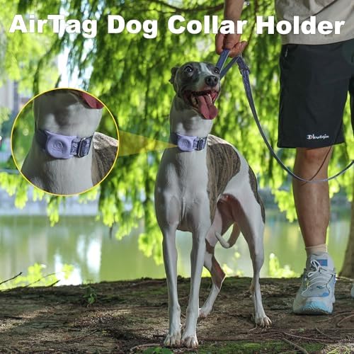 AirTag Dog Collar, Reflective Nylon, Metal Buckle, IP68, Dog Collar with AirTag Holder, Heavy Duty Dog Collars for Large Medium Small Dogs (Lavender Purple, M：Width 1",Neck 13.4"-18.9")
