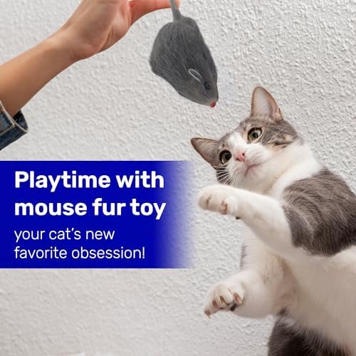 Kats'N Us 2 Inch Real Rabbit Fur Non-Rattle Mouse Cat Toys (5, Gray)