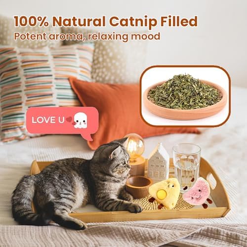 4 Pack Catnip Toys,Egg Yolk Shape Crinkle Toys for Indoor Cats