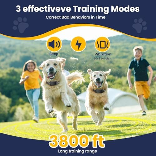 Wireless Dog Fence, Electric Fence for Dogs,Training Collar with Remote Control 3800FT Range, Portable Dog Perimeter Collar with 3 Training Mode Flash Light & Waterproof Upgrade Black 2 Pack