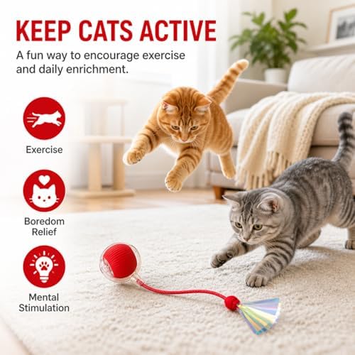 Interactive Cat Toy Ball with LED Lights, USB-C Rechargeable Automatic Cat Toy with Feather Tail, Smart Exercise Toy for Indoor Cats & Kittens, Upgraded Version