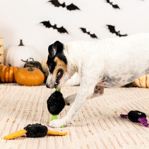Fringe Studio Small Plush Dog Toy Set, Let's FANG Out, 3 Piece Set, PetShop Collection (662070)
