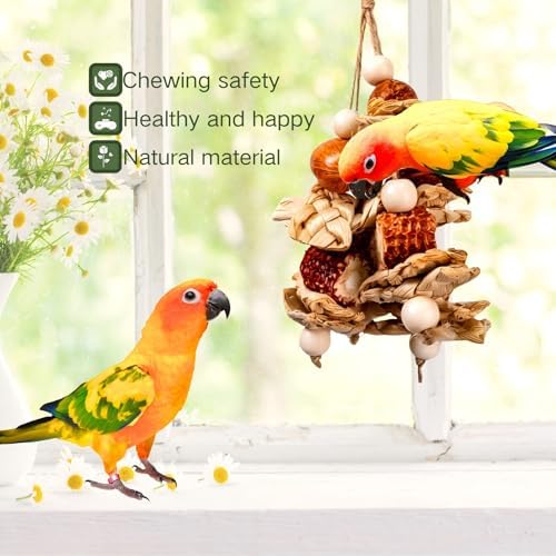 2pcs Bird Toys for Parakeets,Parrot Cage Chewing Hanging Toy