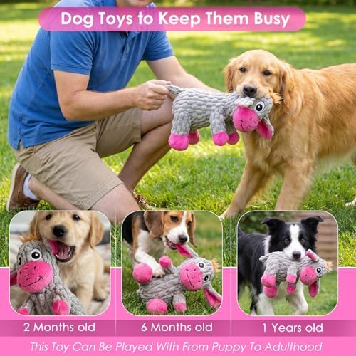 Squeaky Plush Dog Toy with Crinkle Ears for Small and Medium Dogs