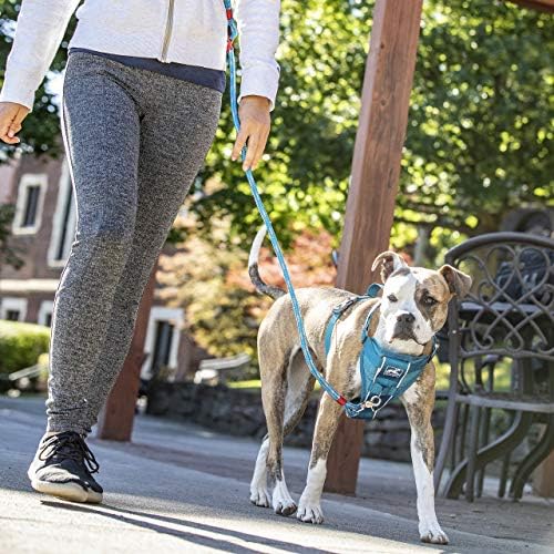 Kurgo Tru-Fit Smart Harness, Blue, Small