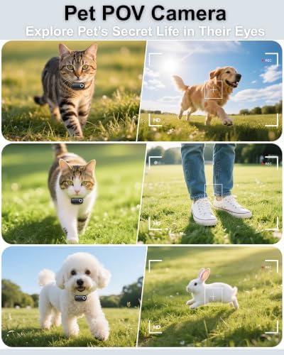 Cat Camera Collar with Phone App and Location Tracker, Pet POV Cam