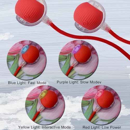 Interactive Cat Dog Toy Ball: Indoor Automatic Moving Smart Rolling Fun Pet Game with Led Light and Tail for Motion Activated, Kitten Puppy Present, Chase Exercise, Hunting Simulation-Upgrade (Red)