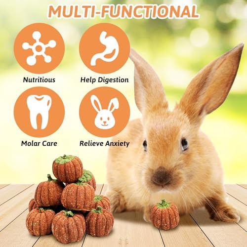 Fhiny 6 PCS Rabbit Chew Toys, Natural Pumpkin Carrot Timothy Grass Guinea Pig Chew Toys for Teeth Bunny Molar Snacks Dental Care Hamster Treats for Bunny Guinea Pig Chinchilla Hamster Gerbil