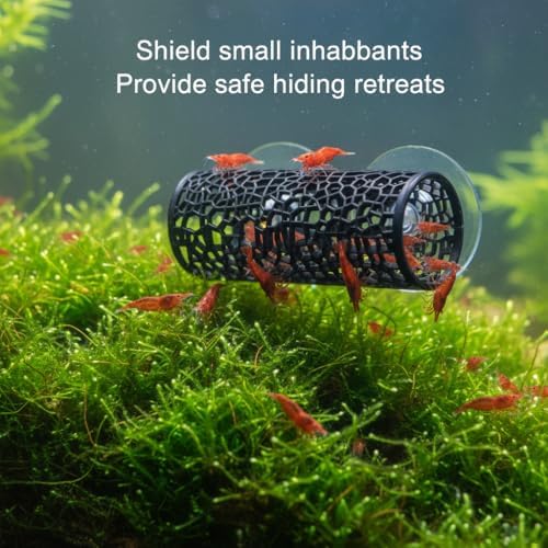 8 pcs Betta Fish Enrichment Toys Fish Exercise Rings Floating Betta Hide Shrimp Cave Tank Hammock Feeder Mirror Resting Spot for Small Fish Training Feeding Rings